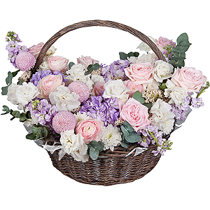 Baltica White Spray Chrysanthemum - 2, Ranunculus Pink - 5, Peony rose pink 'OHara' - 25, Blue/purple hydrangea - 3, lisianthus - 4, Matthiola Lilac - 5, Momoko Chrysanthemum - 3, Medium Basket, Oasis, Ozotamnus, Eucalyptus