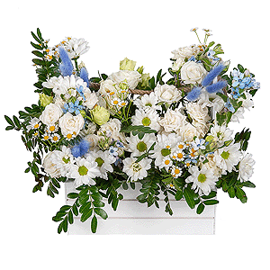 Blue-Eyed Beauty with delivery Kemerovo