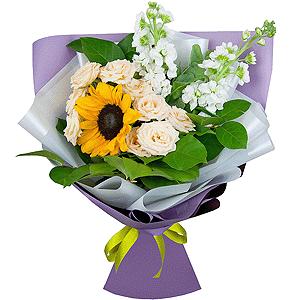 Mystery with delivery Kemerovo