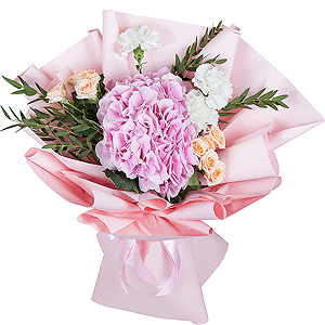 Pink lady with delivery Kemerovo