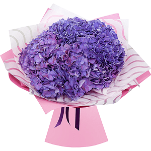 Bouquet of lilac hydrangeas with delivery Kemerovo
