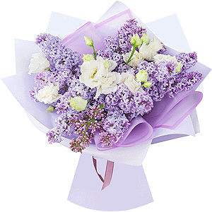 Lilac whisper with delivery Kemerovo