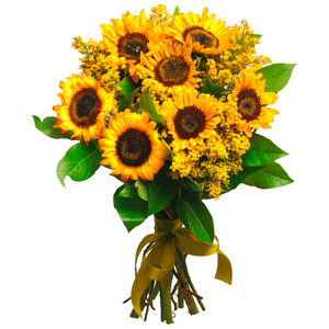 Sun kissed with delivery Kemerovo