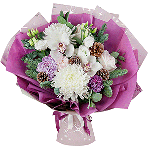 Starfall with delivery Kemerovo