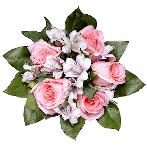 The Happiest with delivery Kemerovo