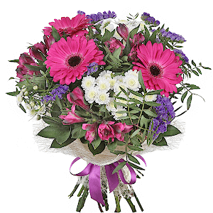 Brilliant with delivery Kemerovo