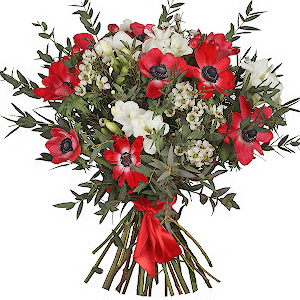 Exotic Anemones with delivery Kemerovo
