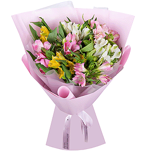 The spring sun with delivery Kemerovo