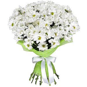 Daisy poms with delivery Kemerovo