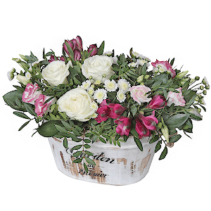 Dream with delivery Kemerovo