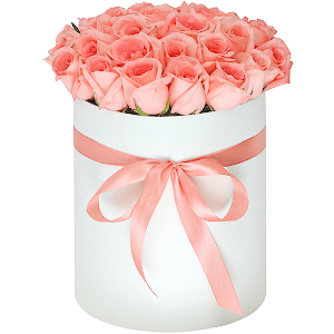 Pink rose 50 cm - 31, Ribbon, Round flower box medium, Oasis