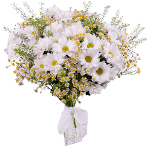 Sun-kissed with delivery Kemerovo