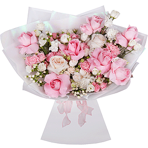 Aristocrat with delivery Kemerovo