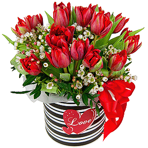 Red tulip - 25, Round flower box small , Oasis, Pistachio, Waxflower (1 pc.), Wrapping Paper, Ribbon