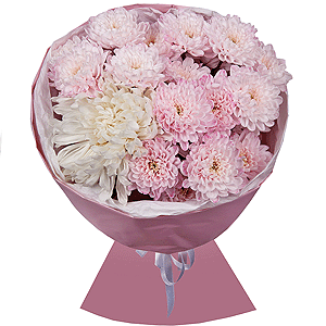Magical Moments with delivery Kemerovo