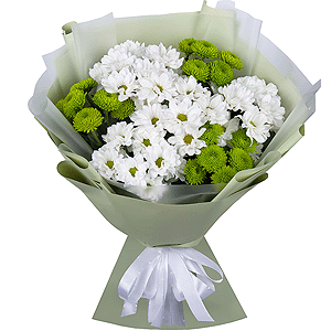 Chrysanthemums Waltz with delivery Kemerovo