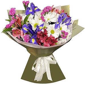 Irises - 7, Baltica White Spray Chrysanthemum - 2, Alstromeria Red, Bright Pink - 4, Pink Statice, Wrapping Paper