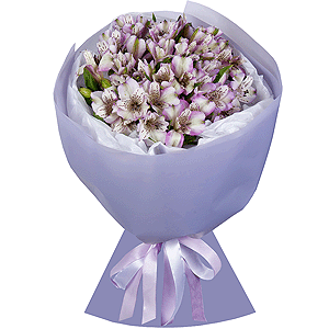 Lilac Dew with delivery Kemerovo