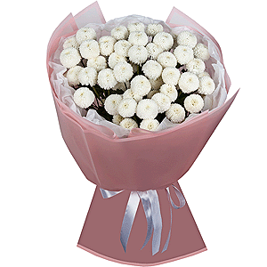 Snowy Wonder with delivery Kemerovo