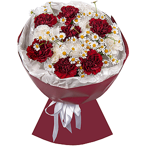 Baltica White Spray Chrysanthemum - 1, Carnation red - 15, Chamomile - 2, Wrapping Paper