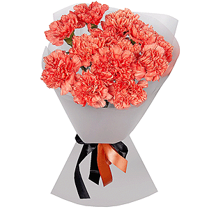 Orange carnation - 21, Wrapping Paper