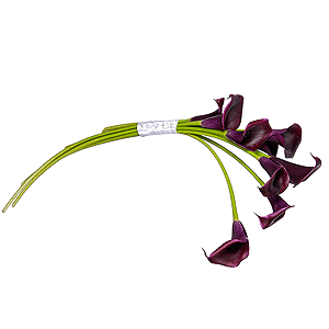 Captivating passion with delivery Kemerovo