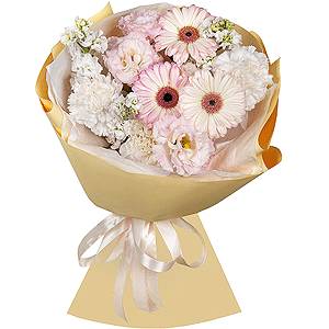 Joy of Life with delivery Kemerovo