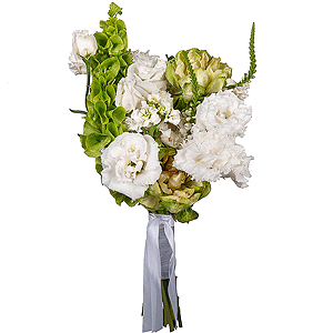 Constellation of Love with delivery Kemerovo