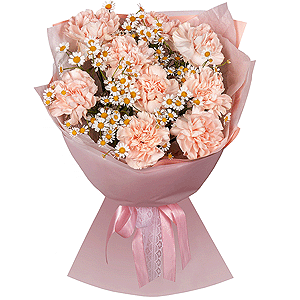 Chamomile Tenderness with delivery Kemerovo