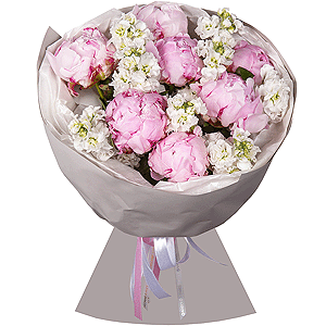 Peony Lace with delivery Kemerovo