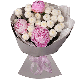 Peony pink - 3, Newton White Spray Chrysanthemum - 7, Wrapping Paper