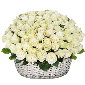 Basket of 101 white roses with delivery Kemerovo