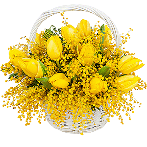 Yellow tulip - 17, Mimosa - 4, Oasis, Medium Basket