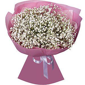 Gypsophila - 7, Wrapping Paper