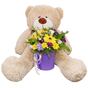 Sunbeams with teddy bear with delivery Kemerovo
