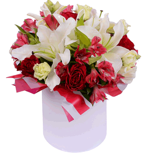 White lilies in a hatbox with delivery Kemerovo