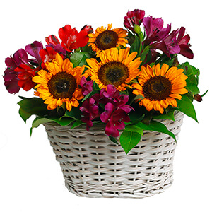 Warm Evening with delivery Kemerovo