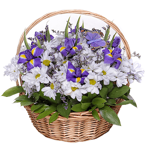 Favourite Plot with delivery Kemerovo