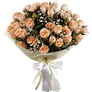 Spray rose: white, cream, light pink 50 cm - 11, Gypsophila - 1, Wrapping Paper