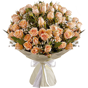 Wonderful Start VIP with delivery Kemerovo