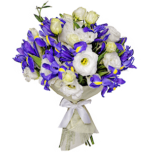 Sea Motive Luxe with delivery Kemerovo