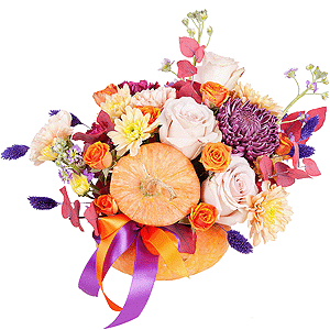 Pumpkin Absolute with delivery Kemerovo
