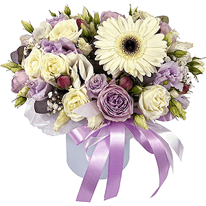 Tender hugs with delivery Kemerovo