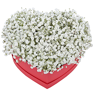 From the heart with delivery Kemerovo