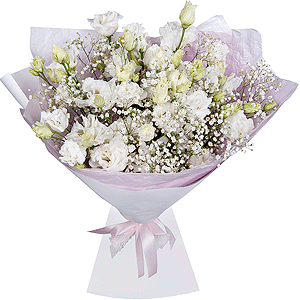 Myths of the Muses with delivery Kemerovo