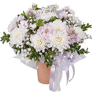 White Lace with delivery Kemerovo