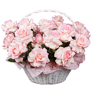 Pink Paradise with delivery Kemerovo