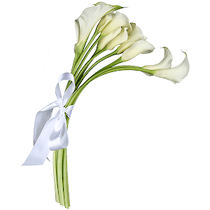 Amazing arum lilies with delivery Kemerovo