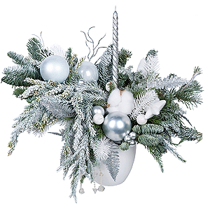 Silver Radiance with delivery Kemerovo
