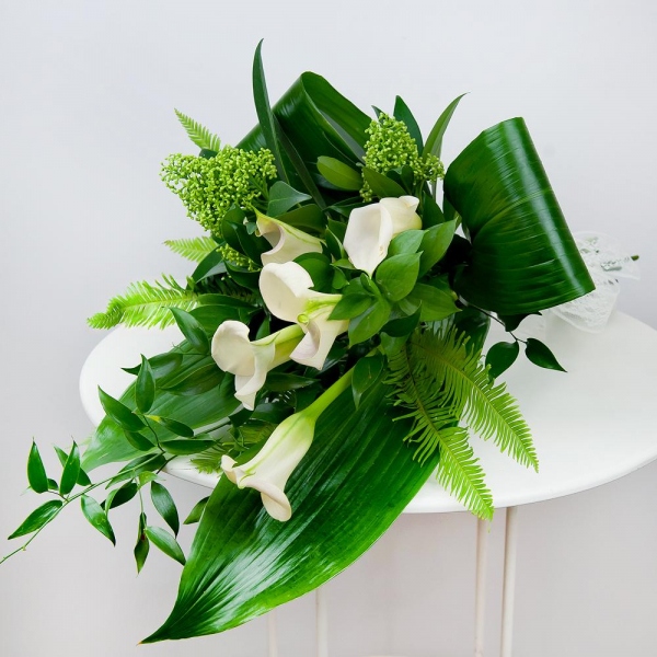 Каллы - 7, Скиммия, Амбрелла, Аспидистра, Рускус итальянский, Рускус, Лента